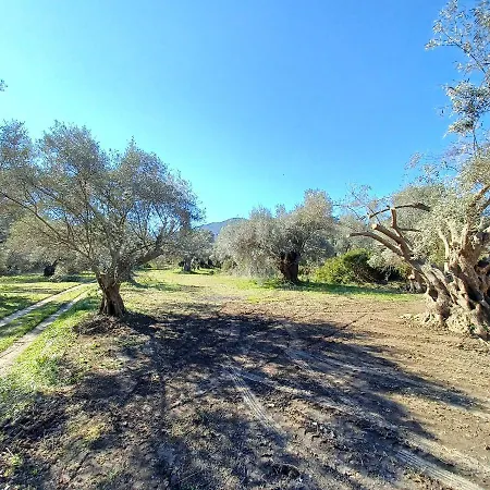 Apartment Eleonas 1, Lygia *